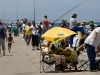 Kalk Bay 11