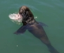 Kalk Bay 12